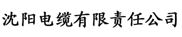 永久免费看成品人影视电缆厂logo